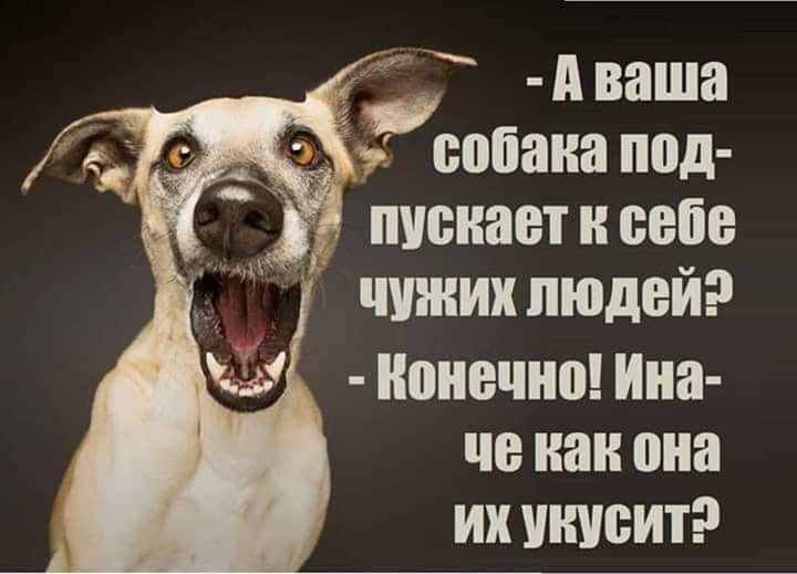 Ольга Лысова | Санкт-Петербург