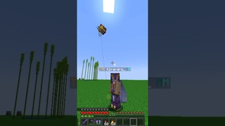 КАК СДЕЛАТЬ ВОЗДУШНЫЕ ШАРИКИ В МАЙНКРАФТЕ! #андчилл #minecraft #майнкрафт #мем #сервер