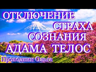 ОТКЛЮЧЕНИЕ СТРАХА СОЗНАНИЯ АДАМА ТЕЛОС ⚡️ @novoe_probujdene_chelovchestva