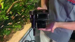 Amtra Niagara | Filtro per acquari esterno a zainetto  Hang on  Plug & Play