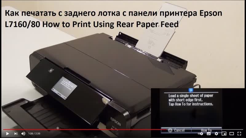 Как печатать с заднего лотка с панели принтера Epson L7160, 80 How to