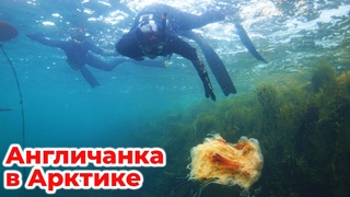 АНГЛИЧАНКА плавает в АРКТИЧЕСКОМ МОРЕ