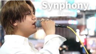 Synphony/wacci
