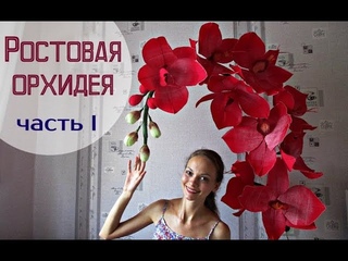 Большие цветы | Ростовые орхидеи. Часть 1