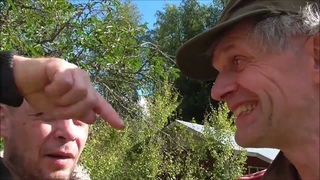 Arto Lauri 256 Kristian P