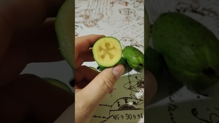 Очень полезный фрукт Фейхоа.