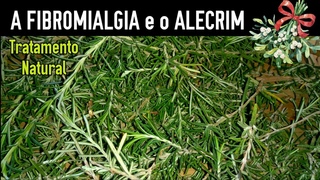 FIBROMIALGIA e o ALECRIM, Cura Natural #ElisangelaEvaristo