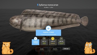 Норвежское море! 80 банка! Русская рыбалка 4 топ игра! Спасибо!