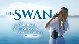 The Swan from The Carnival of the Animals by Camille Saint-Sans