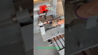 BSGH Motor Wrecking Machine Motor Cutting Machine for Sale